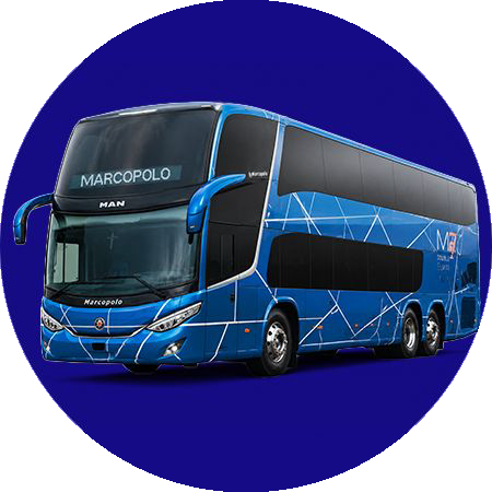 Renta de Autobuses de UNO y dos pisos para grupos grandes